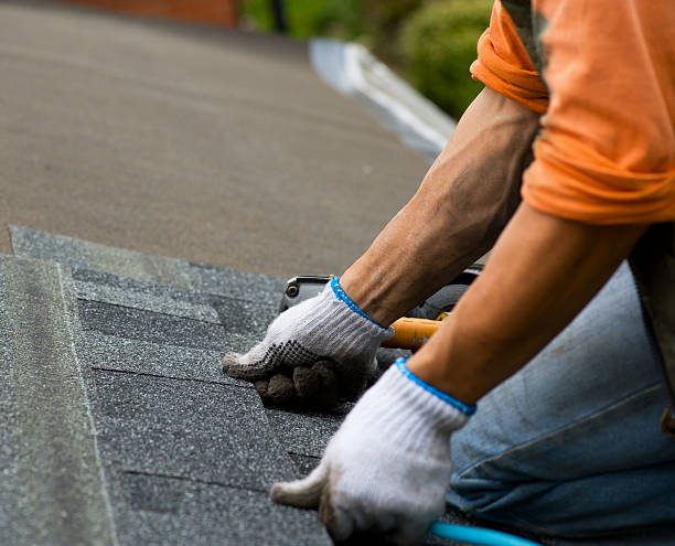 Best Roof Gutter Cleaning  in Solon, OH